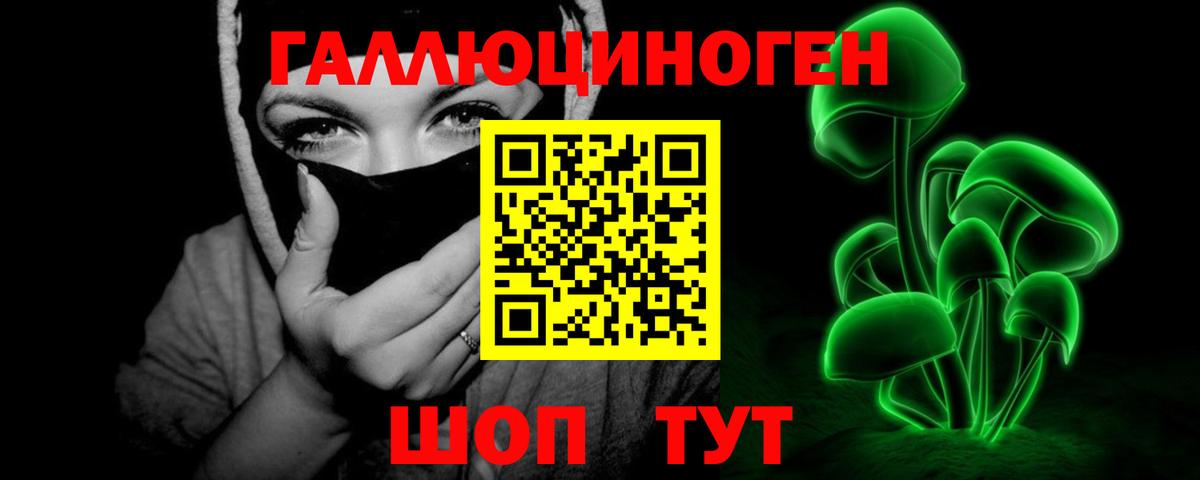Гатчина  Псилоцибиновые грибы Cubensis  Вход с VPN 